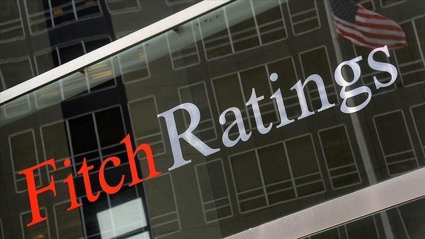 Turkish economy resilient to shocks: Fitch