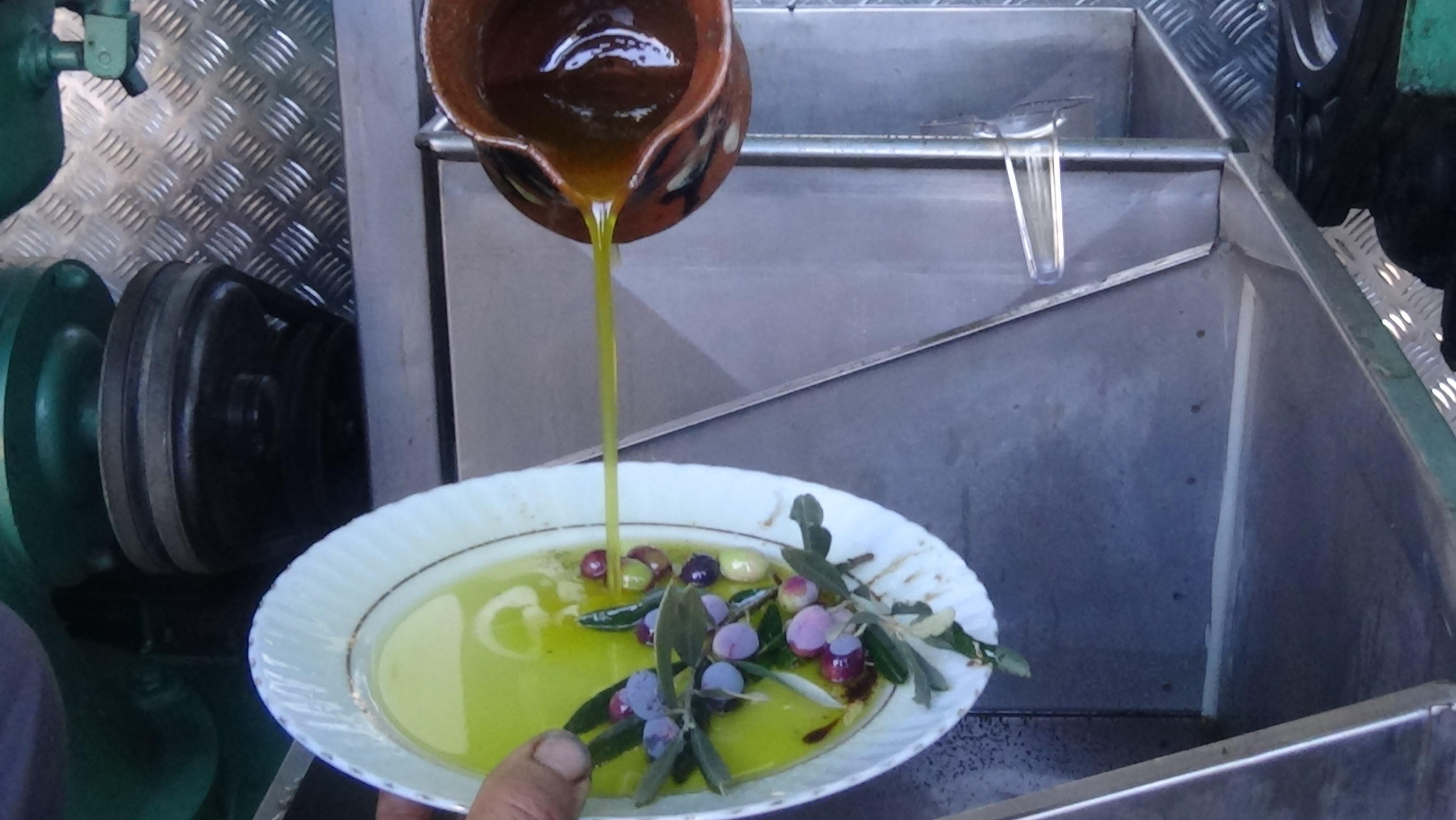 Türkiye bans olive oil exports for three months