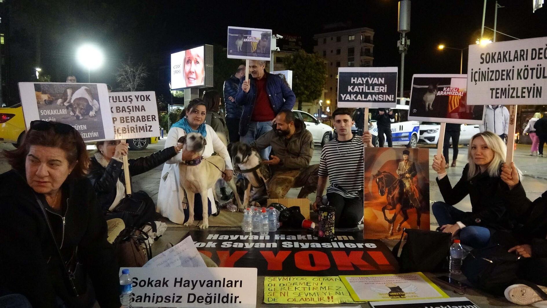 Prosecutor to appeal cat killers release