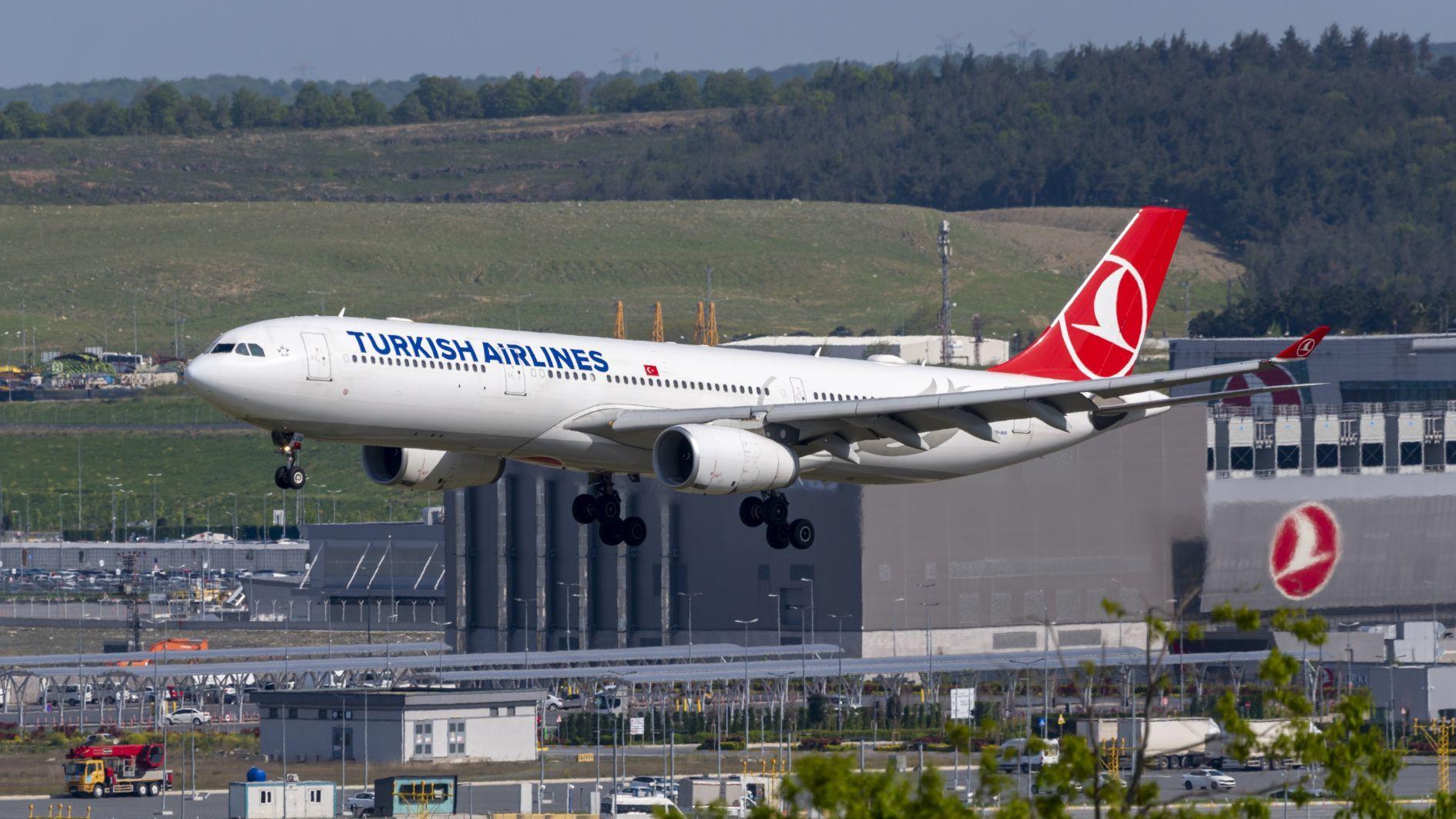 Flag carrier Turkish Airlines eyes stake in Air Europa