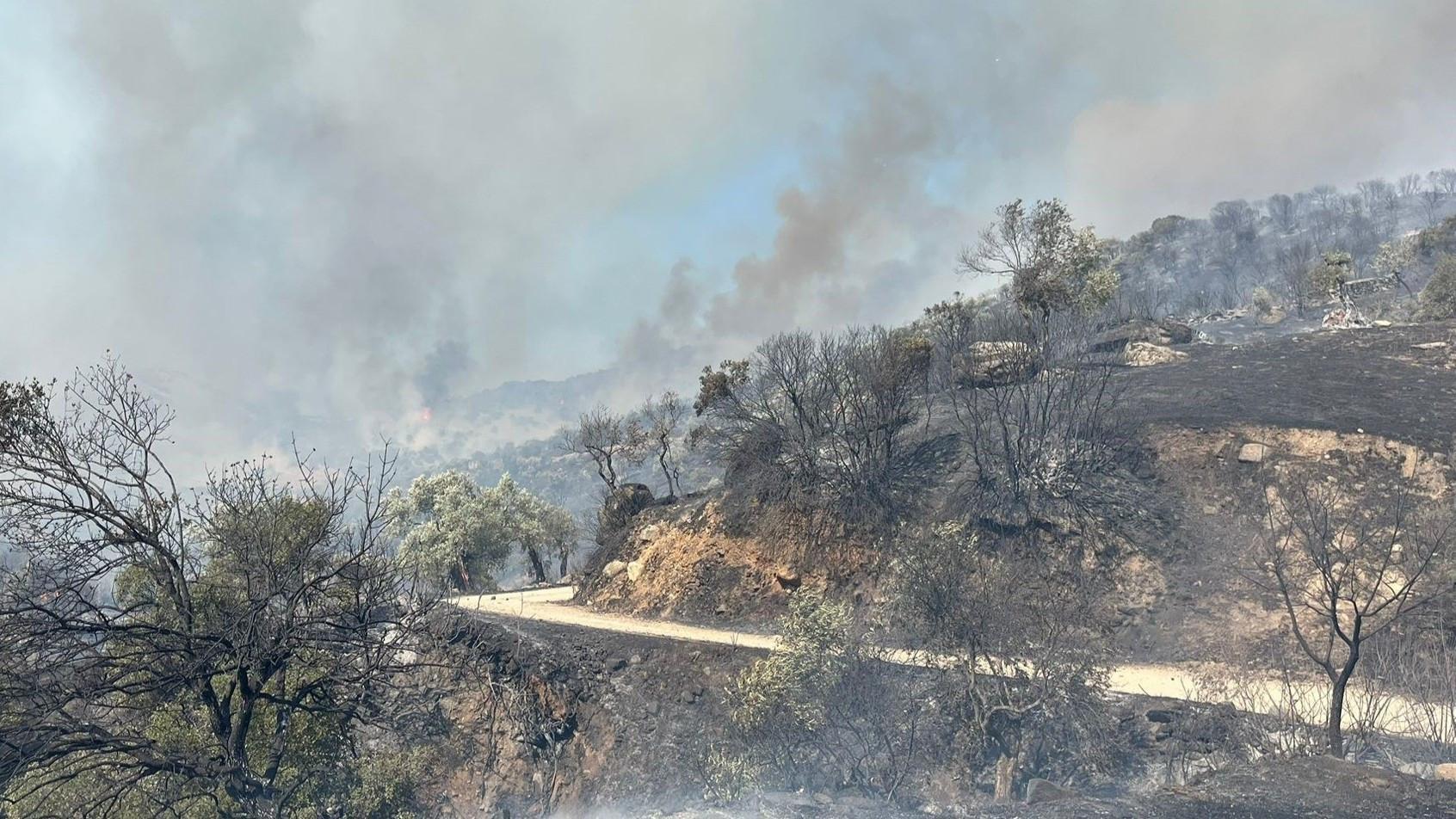 Türkiye enters high-risk wildfire season as flames ravage Aydın