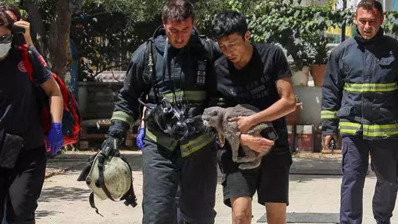 Yangında evi kül oldu! Mahsur kaldığı balkonda kedisini bir an bile bırakmadı
